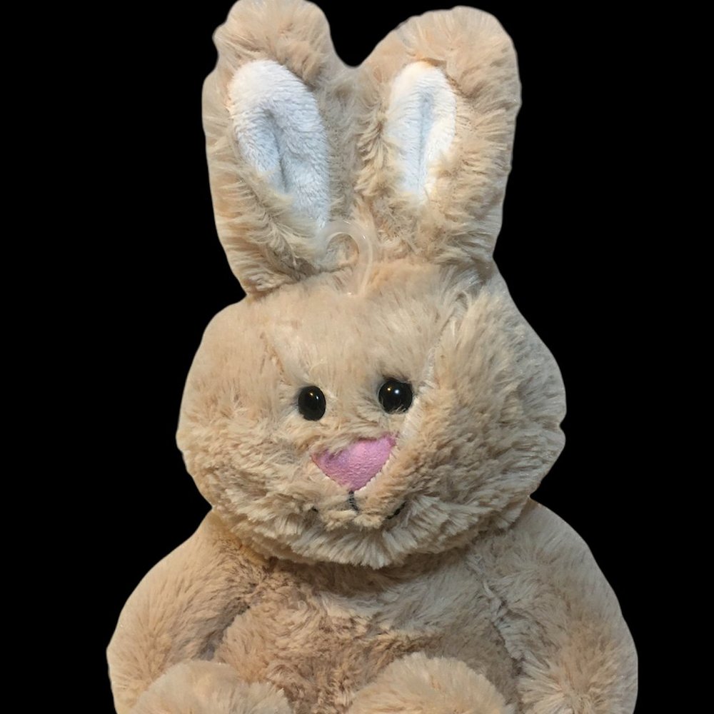 HTF Animal Adventure Tan Bunny Rabbit Plush Cream Ears Sweet Sprouts 2015 Lovey - Picture 2 of 7